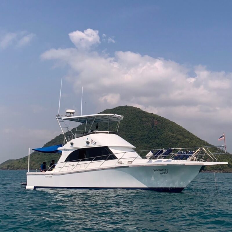 Buy custommade boat hardtops